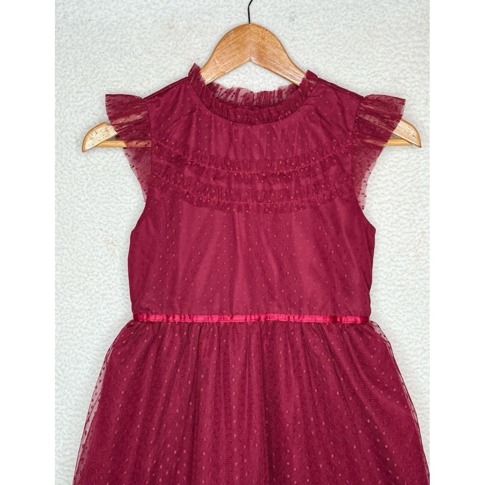 Janie and Jack Deep Burgundy Dot Tull Mesh Dress Ruffle Hem Girls Sz 12 NWT - Picture 3 of 10